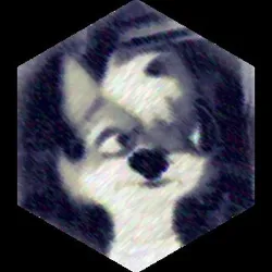 CQ WiFi's avatar