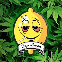 HighSuperLemon420's avatar