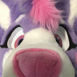 Chewy's avatar