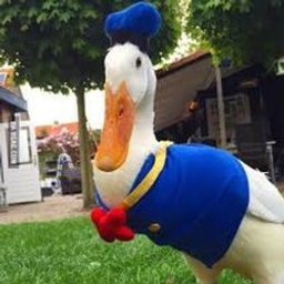 donaldduck123123123420's avatar