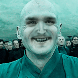 WItHoUtlArdLARD1996's avatar