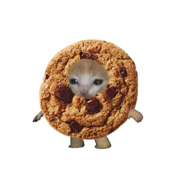 Elibritoki_1's avatar